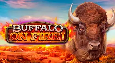 Buffalo on fire!